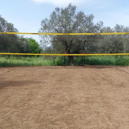 Casale Citerno Apartman Bolsena Kültér fotó