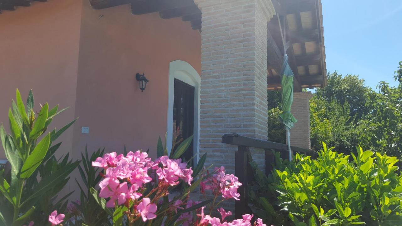 Casale Citerno Apartman Bolsena Kültér fotó