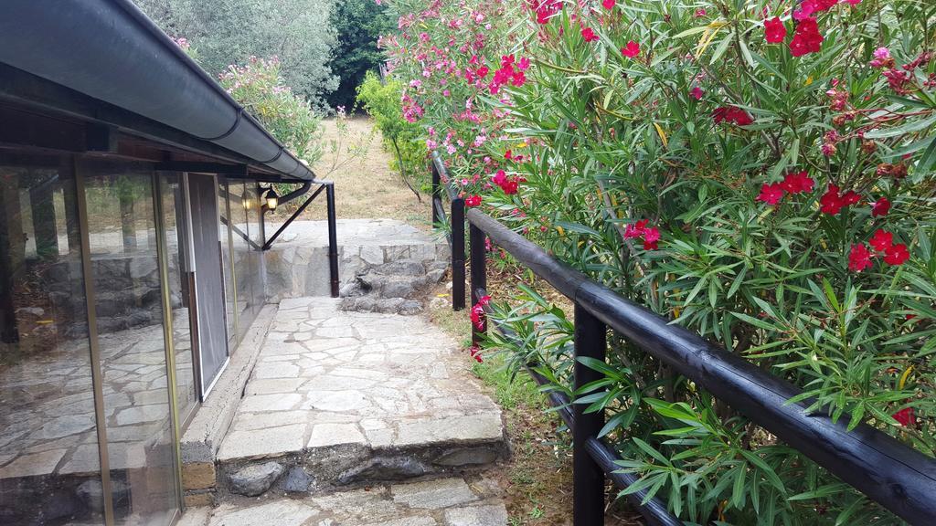Casale Citerno Apartman Bolsena Kültér fotó